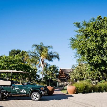 Addo Wildlife Villa Exterior photo