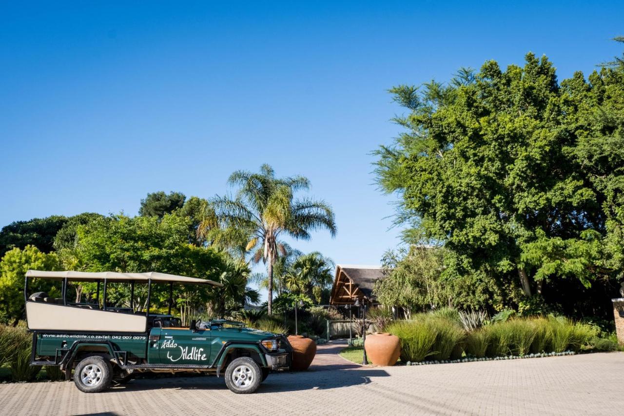 Addo Wildlife Villa Exterior photo