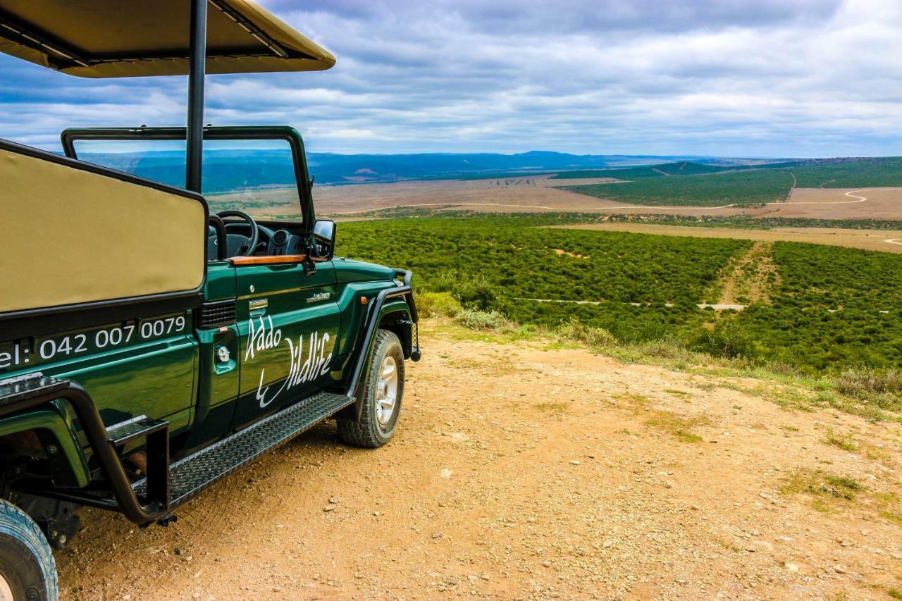 Addo Wildlife Villa Exterior photo
